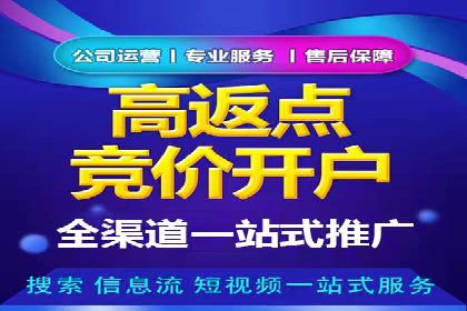 百度竞价代运营实战案例分析